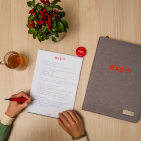 Team Management, Beleid & Advies