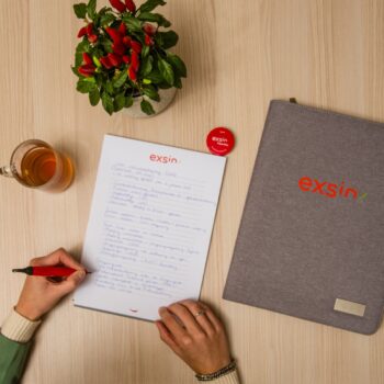 Team Management, Beleid & Advies