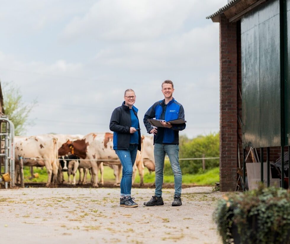 Projectmatig uitbesteden